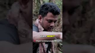 ULAR INI SEMBUNYI SAAT PANJI DEKATI [upl. by Cita]