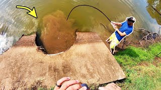 300 LB MONSTER in a STORM DRAIN [upl. by Lednahs793]