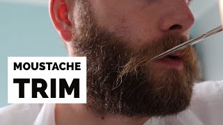 How to Trim a Moustache with Scissors [upl. by Sinned]