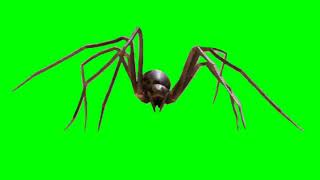 Green Screen Giant Enemy Spider video effects [upl. by Brott]