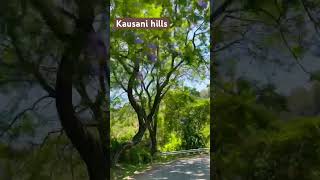 Kausani 🍃🍃🍃 [upl. by Fritz]