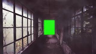 4K Green Screen Free  CREEPY HALL [upl. by Lovmilla]