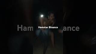 Hamstar binance [upl. by Aziaf668]