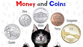 Money and Coins for Kids  Kindergarten 1st Grade amp 2nd Grade  Noodle Kidz [upl. by Renado]