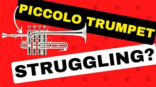 Piccolo Trumpet Challenges Expert Tips for Beginners and Troubleshooting for Experienced Players [upl. by Lauri153]