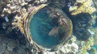 Snorkeling Brayka Bay Marsa Alam Ägypten Mai 2018 [upl. by Qirat709]