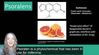 Plant Secondary Metabolites Phenolics [upl. by Orfurd]