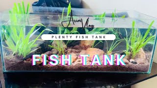 Simple plenty fish tank set up 🫶🏻  Fish tank  fish fishtank vlog asimsabkhan [upl. by Itoyj]