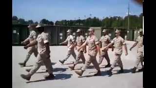 USMC US Marine Corps Marching Cadence [upl. by Lisha]