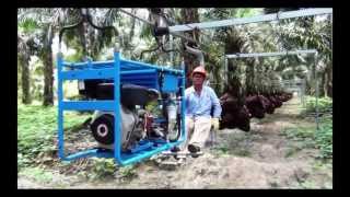 OIL PALM CABLEWAY CENTRO ACEROS [upl. by Calabresi]