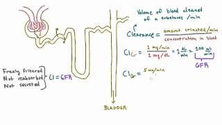 Calculating Clearance  Example Calculations [upl. by Salaidh]