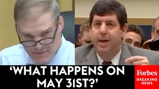 How Are You Going To Enforce This Jim Jordan Grills ATF Director About New Brace Rule [upl. by Young]