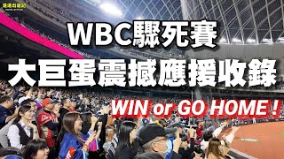 WBC驟死賽，大巨蛋震撼應援紀錄！中華隊贏啦！！ 臺灣尚勇 經典賽 [upl. by Akinohs]