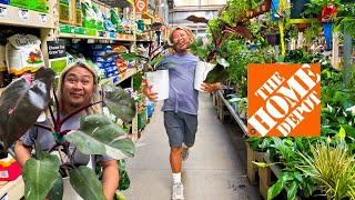 What “The Best” Home Depot for Houseplants Has in Stock Right Now [upl. by Leonora]