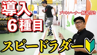 【導入ラダートレーニング6種目】初心者おすすめ・簡単なステップワークの紹介 [upl. by Jeramie994]