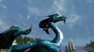 Maskars Oblivion Overhaul  Taming a Dragon [upl. by Jeramey310]