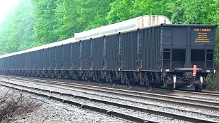 Big CSX Coal Train Amtrak CSX Meets GP383 [upl. by Narhet955]