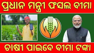 Pradhan Mantri Fasal Bima Yojana Apply Online 2024Pradhan Mantri Fasal Bima Yojana New Update Pmfby [upl. by Gerhan]