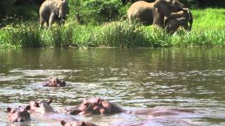 South Sudan Travel Guide Visit the River Nile amp Explore Boma National Park [upl. by Eldoria]