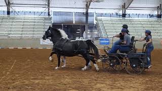 Ranch Ride Carriage Drive at the 2024 CHA International Conference [upl. by Enrev955]