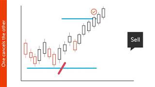 Trading lernen  2 Orderarten  Swissquote [upl. by Bonneau]