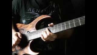 Fleshgod Apocalypse  Embrace The Oblivion GUITAR SOLO [upl. by Vanden851]