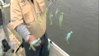 Striper Fishing With Umbrella Rigs [upl. by Debee1]