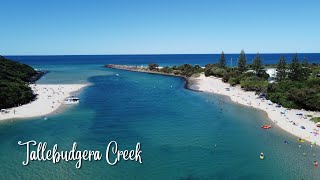 TALLEBUDGERA CREEK  Paddle Boarding [upl. by Browne]