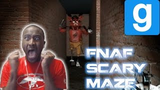 gMOD SHENANIGANS FIVE NIGHTS AT FREDDYS SCARY MAZE  GMOD HORROR MAP 11 [upl. by Aba]