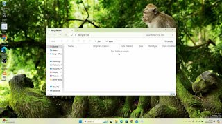 How To Empty Recycle Bin on Windows 11 2024  Easy Fix [upl. by Nitsuj]