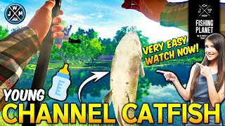 Fishing Planet 2023  UPDATED How to catch Young Channel Catfish on Lonestar Lake [upl. by Nortal]