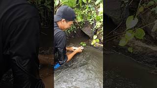 WOW😯 Skill nangkap ikan pakai tangan dewa [upl. by Alby]