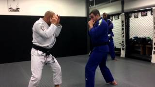 Eddie Kone Academy  Basic Striking concepts for Gracie JiuJitsu [upl. by Annaitsirhc]