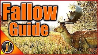 Fallow Deer Guide  theHunter Call of the Wild [upl. by Durkee]