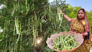 बबूल की फली की सब्जी जो हमारे पूर्वजों के भोजन की याद दिला देती है BABUL KI SABJI RECIPE [upl. by Ardnahcal]