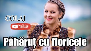 AndreeaHaisan ❌ Colaj NOU ❌ din bucovina ❌ Păhăruț cu floricele🍷 [upl. by Cannon81]