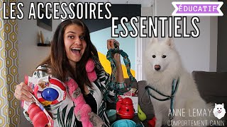 Les accessoires essentiels pour accueillir un nouveau chien [upl. by Emmuela301]