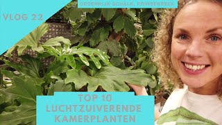 Dé top 10 van de meest luchtzuiverende kamerplanten [upl. by Romilly]