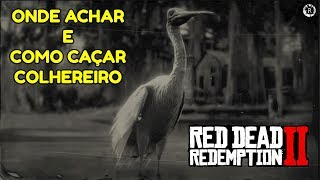 RED DEAD REDEMPTION 2  COMO CAÇAR COLHEREIRO  Dicas [upl. by Navert911]