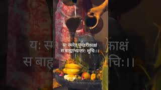 शुद्धिकरण मंत्र l Shuddhi karan mantra l mantra shorts shortsfeed ytshorts viralvideo [upl. by Francene]