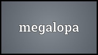 Megalopa Meaning [upl. by Faus90]