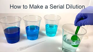 How to Make a Serial Dilution [upl. by Assirac]