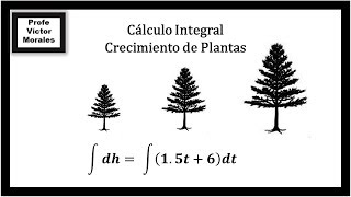 Cálculo Integral Aplicación en crecimiento de plantas 2a versión [upl. by Rod]