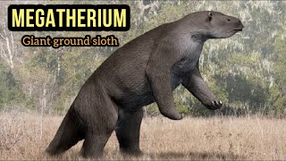 Megatherium The giant ground Sloth [upl. by Feltie]