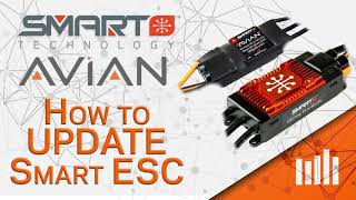 Avian Smart ESC Setup  How to Update with Programmer Box and PC App [upl. by Grados99]