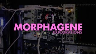 Make Noise Morphagene Explorations [upl. by Attenol]