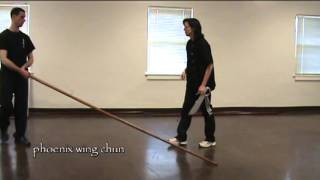 Why We Still Use the Wing Chun Pole [upl. by Casilda740]