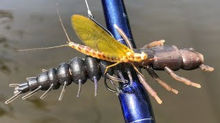 Slammin Smallies During The Mayfly Hatch [upl. by Llevol457]