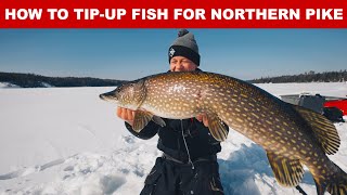 How To TipUp Fish For Northern Pike Complete Rigging [upl. by Gerri]