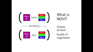 Calcul de NDVI sur ENVI [upl. by Lirbij]